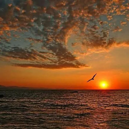 Apartment Garden Of Eden Sveti Vlas