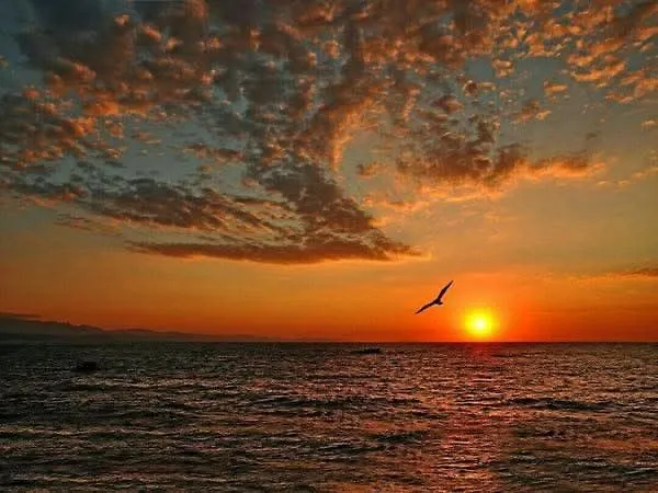 דירה Garden Of Eden סבטי ולאס